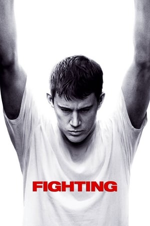 Fighting (2009) Hindi Dual Audio 480p BluRay 450MB