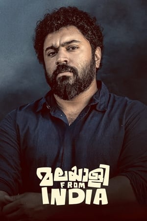 Malayalee from India (2024) [Hindi + Malayalam] HDRip 720p – 480p – 1080p